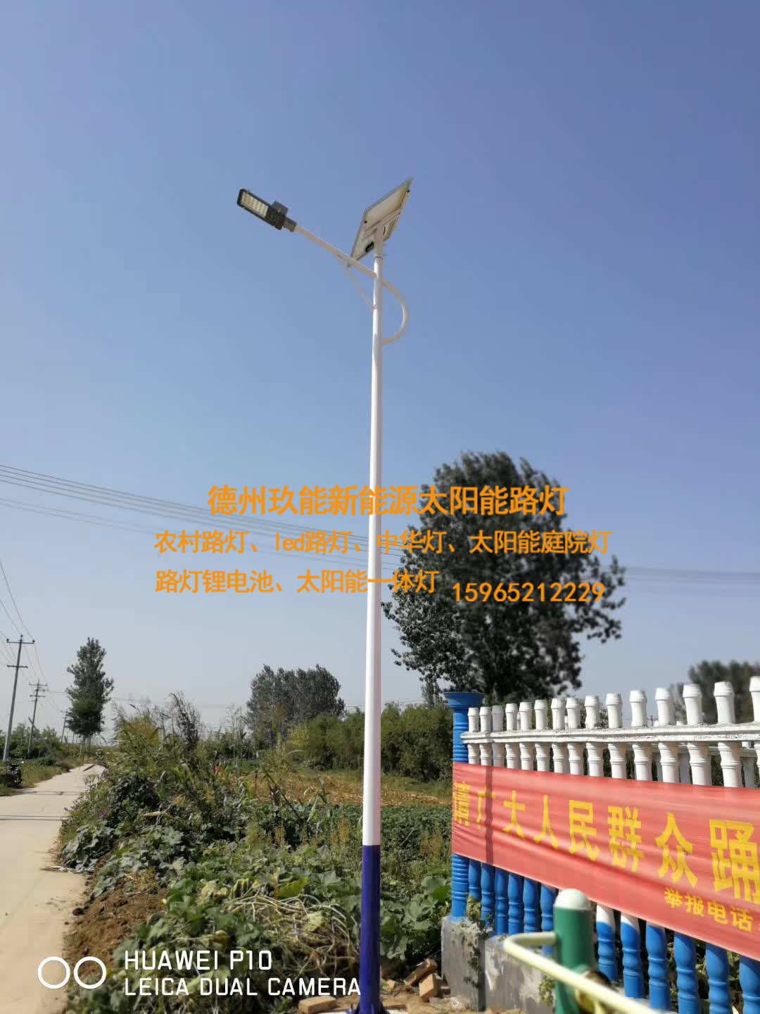 沧州新县镇农村太阳能路灯